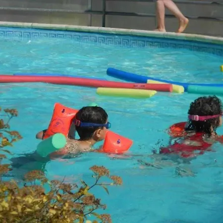 - Piscine - Eecfce Chalet Salles-Curan
